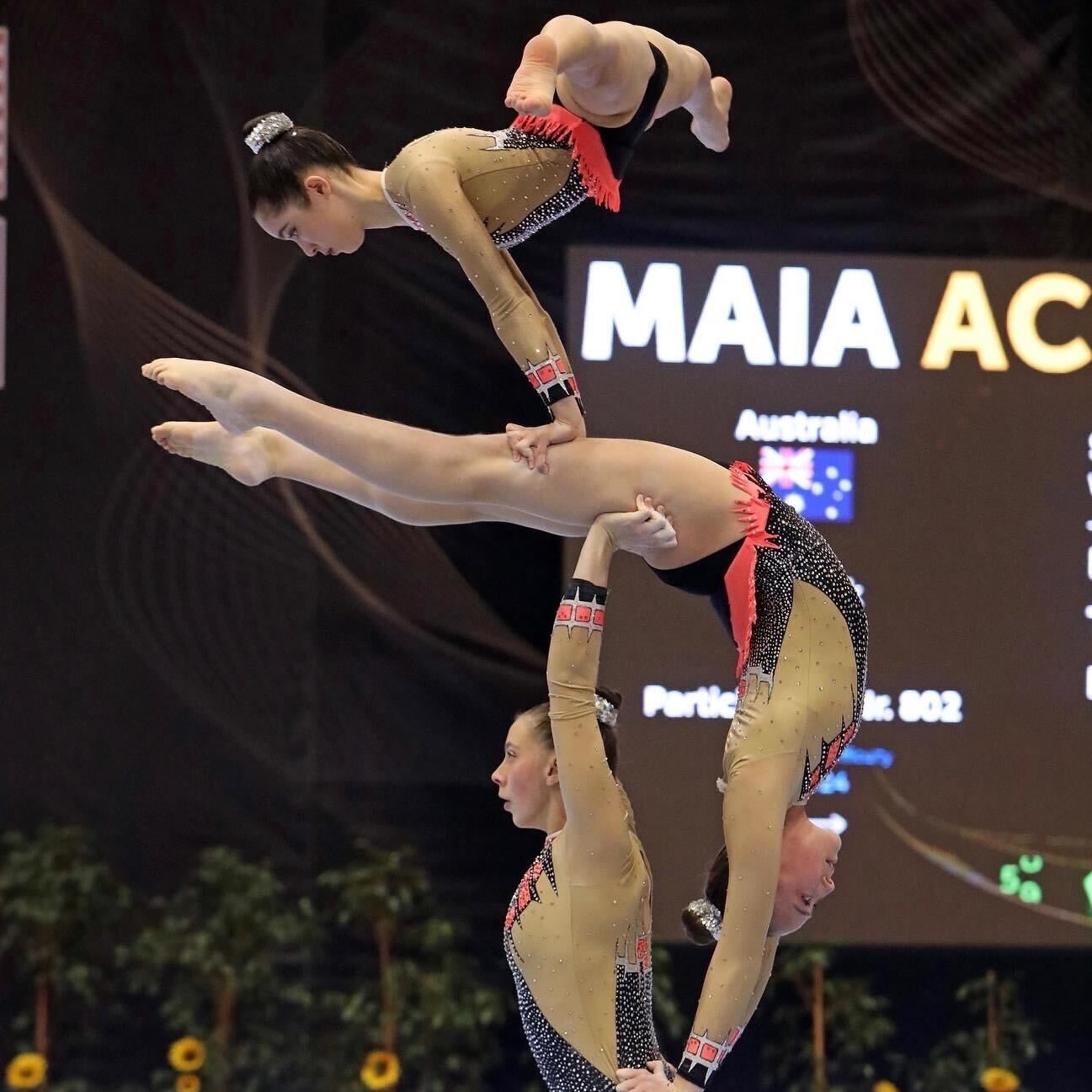 acrobatics group balance high level competition