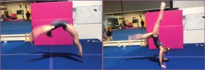 Skylark Acrobat Back Handspring Step Out Perfect Model