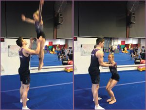 Skylark Acrobat Height And Flight Deduction