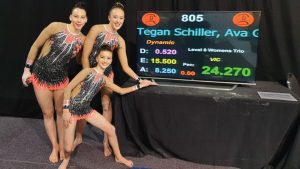 Skylark Acrobats Zero Penalties