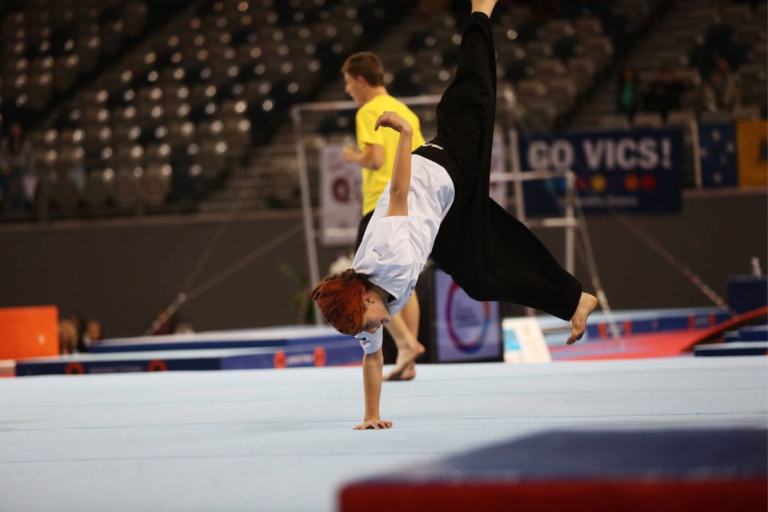 Ninja warrior moves - Skylark Sports 