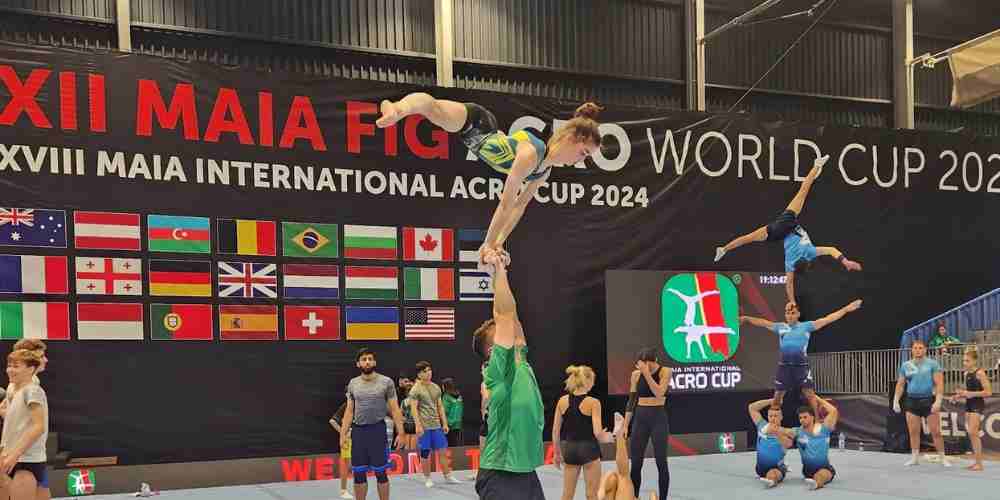 Gymnasts performing and training in a gymnastic facility.
